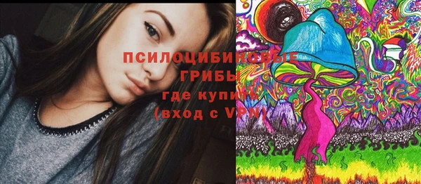 PSILOCYBIN Белокуриха