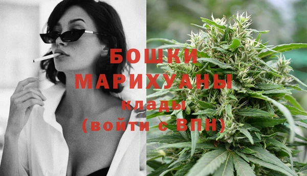 сатива Белоозёрский