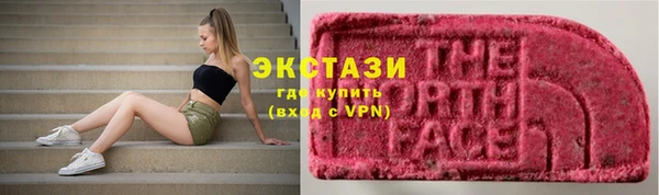 PSILOCYBIN Белокуриха
