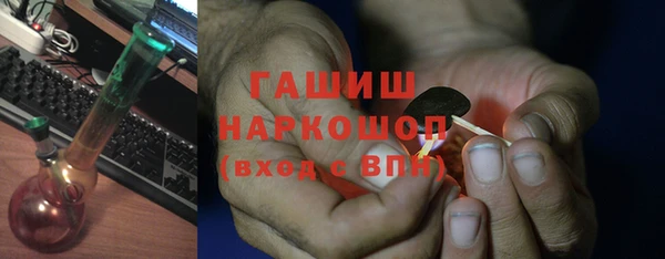 PSILOCYBIN Белокуриха