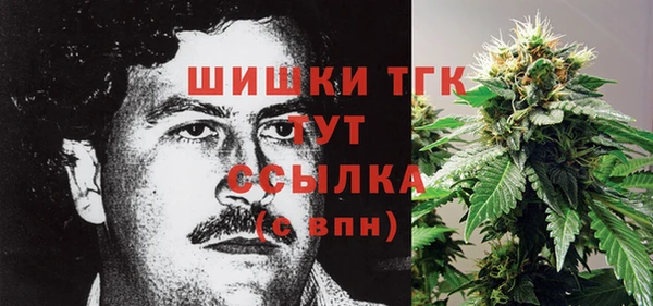 PSILOCYBIN Белокуриха