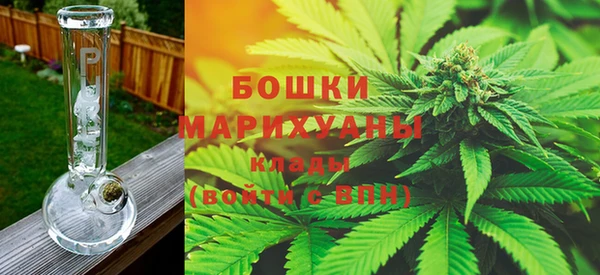 PSILOCYBIN Белокуриха