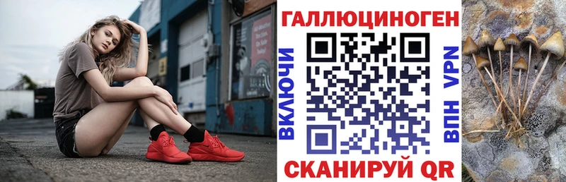 хочу   Чусовой  маркетплейс какой сайт  Галлюциногенные грибы Psilocybe 